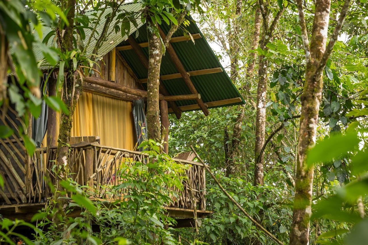 La Tigra Rainforest Lodge La Fortuna Esterno foto