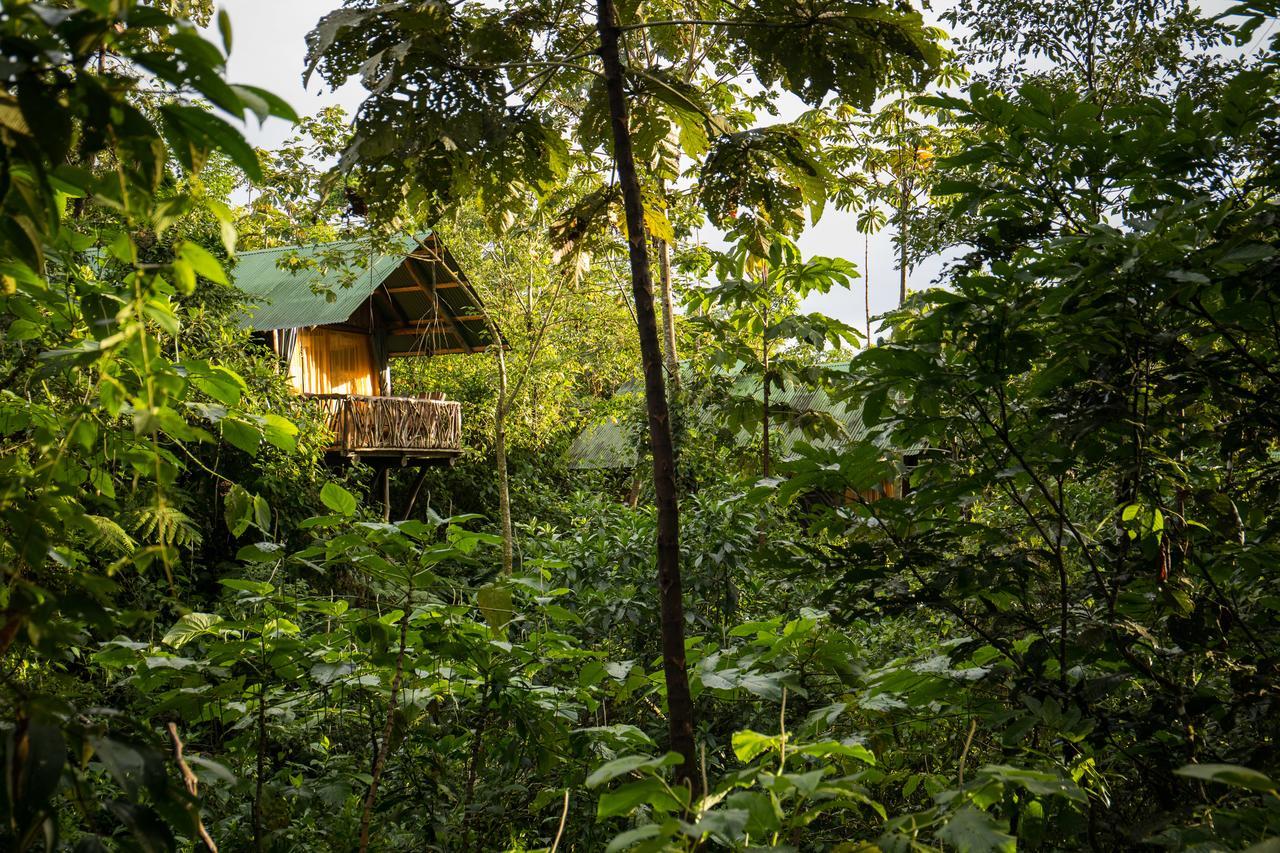 La Tigra Rainforest Lodge La Fortuna Esterno foto